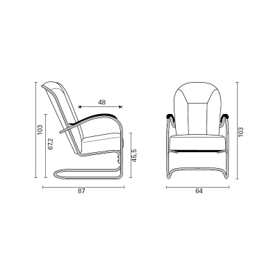 Gispen AA design fauteuils nieuw gestoffeerd